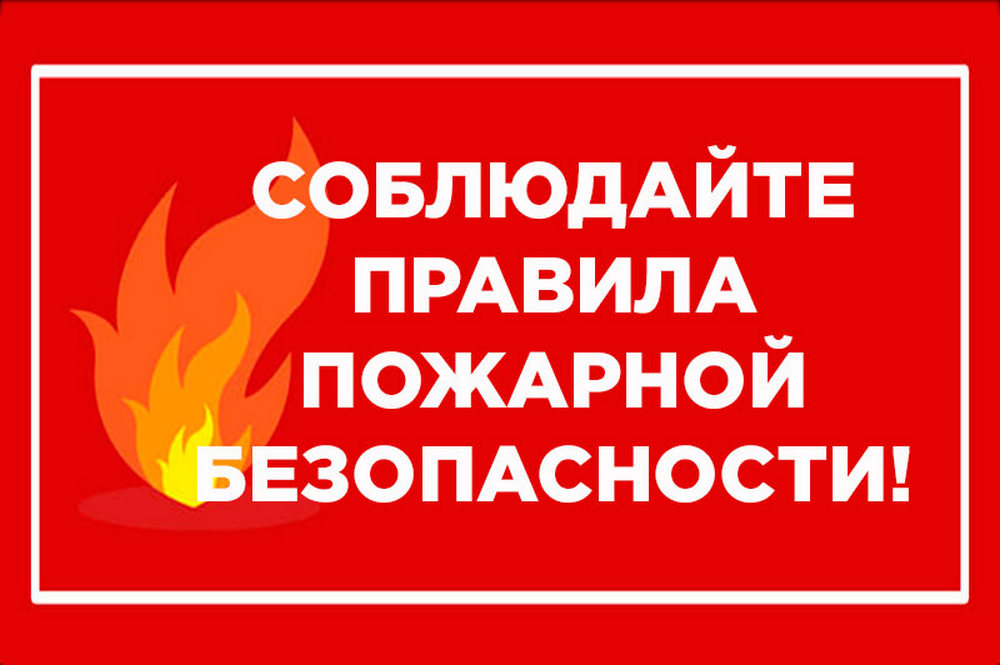 Контрольная работа по теме Умышленное уничтожение или повреждение отдельных предметов с применением огня